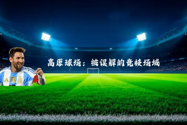 高原球场：被误解的竞技场域